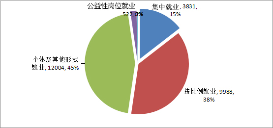 2015年全区残疾人事业发展统计公报(图9)