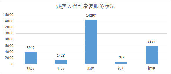 2016年全区残疾人事业发展统计公报(图1) 2016年全区残疾人事业发展统计公报(图1)