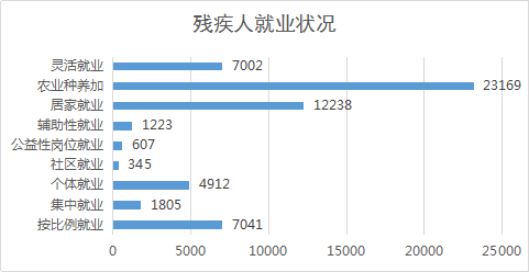 2017年全区残疾人事业发展统计公报(图2)