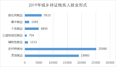 2019年全区残疾人事业统计公报(图2) 2019年全区残疾人事业统计公报(图2)